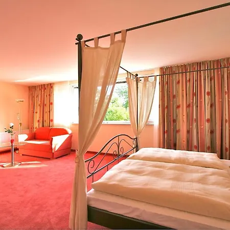 酒店 Bodenseehotel Immengarten 4*