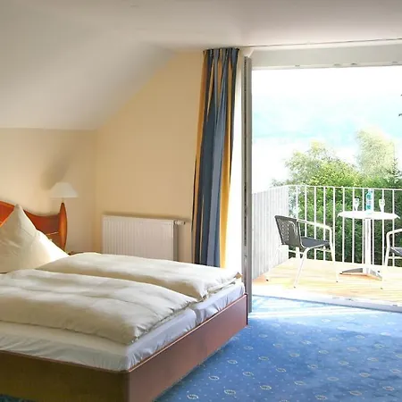 酒店 Bodenseehotel Immengarten 博德曼路德维希港
